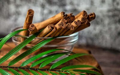 Unveiling the Essence: The Splendour of Ceylon Cinnamon