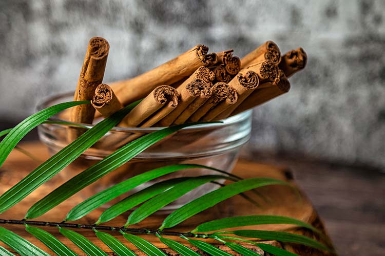 Unveiling the Essence: The Splendour of Ceylon Cinnamon